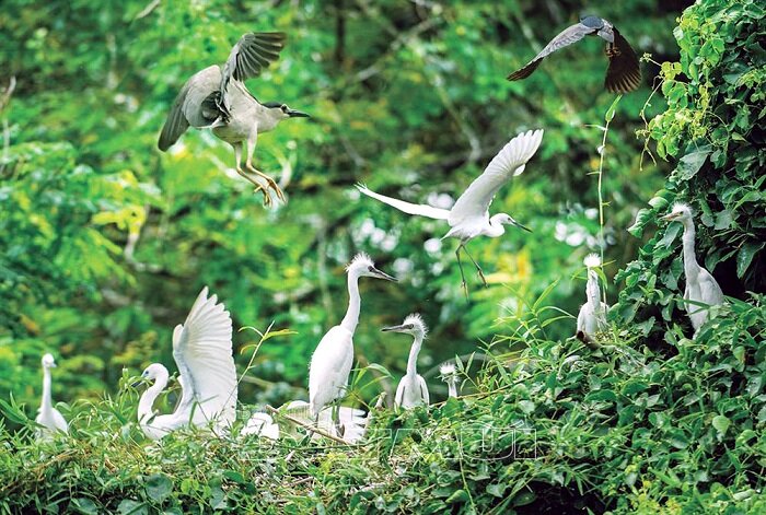 Begin your visa-prepared day with Hanoi’s tranquil ambiance